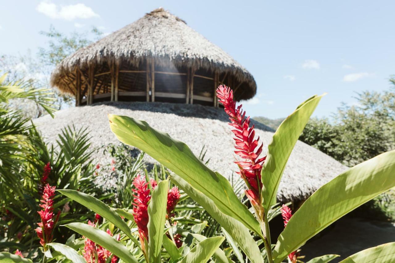 Dreamsea Surf Resort Nicaragua San Juan del Sur Εξωτερικό φωτογραφία